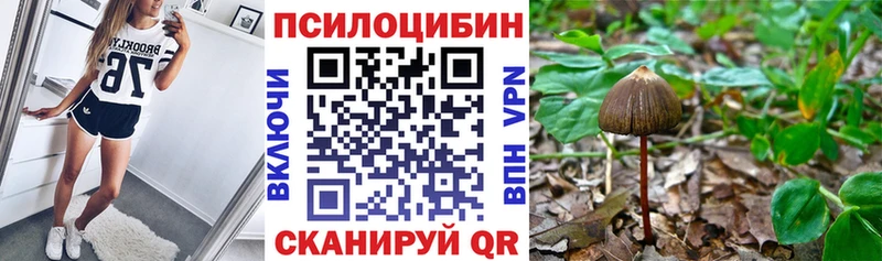 дарнет шоп  Сольцы  Галлюциногенные грибы GOLDEN TEACHER 